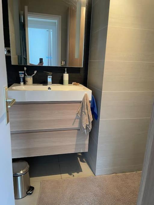 Appartement A 150M Du Lac- Plage De L'Imperial آنسي المظهر الخارجي الصورة